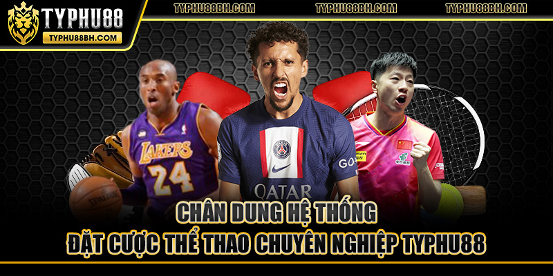 Chân dung hệ thống đặt cược thể thao chuyên nghiệp Typhu88