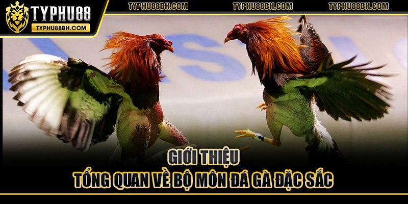 Giới thiệu tổng quan về bộ môn đá gà đặc sắc