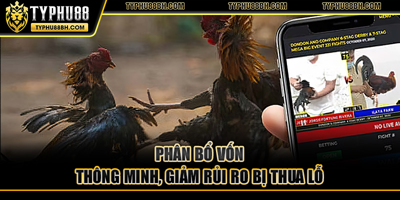 Phân bổ vốn thông minh, giảm rủi ro bị thua lỗ