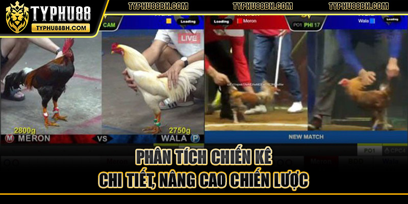 Phân tích chiến kê chi tiết, nâng cao chiến lược