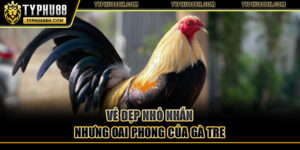 Gà Tre – Nguồn Gốc, Đặc Điểm Và Bí Quyết Chăm Sóc Vẻ đẹp nhỏ nhắn nhưng oai phong của gà tre