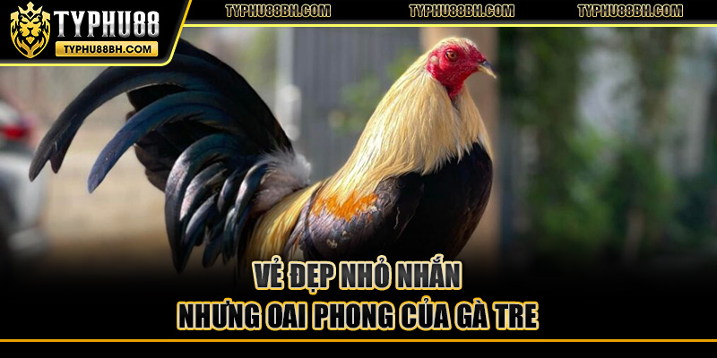 Gà Tre – Nguồn Gốc, Đặc Điểm Và Bí Quyết Chăm Sóc Vẻ đẹp nhỏ nhắn nhưng oai phong của gà tre